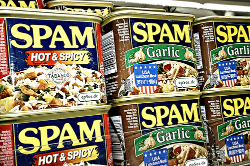 Funny Internet Spam for eMail and Websites is ...